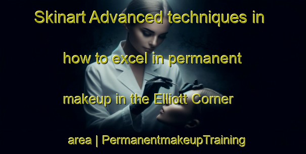 Skinart Advanced techniques in how to excel in permanent makeup in the Elliott Corner area | PermanentmakeupTraining | PermanentmakeupClasses | SkinartTraining-United States